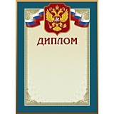 Бланк А4 Диплом с ГЕРБОМ Россия, асс (20)
