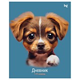 Дневник универс мяг/обл BG 40л Дай лапу,Лунный свет