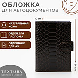 Обложка для /автодок/ КОЖА TEXTURA на кнопке + обл.д/папспорта коричневый