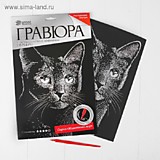 Игра Набор д/тв Гравюра А5 с металлич эфф.серебро