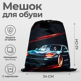 Сумка д/обуви Calligrata 1отд МСО-7С 34*42см полиэстер 210D+карман асс