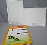 Папка д/черчения А3 10л РЕГ 5верт/рамка+5гориз/рамка