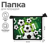 Папка д/тетрадей А4 1отд на молнии Calligrata 190*230*50 б/ручек пласт Гол