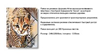 Папки с резинкой